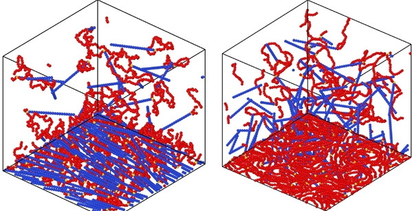 Tadpole polymers adsorbed on a surface on their tails (left) or heads (right). 