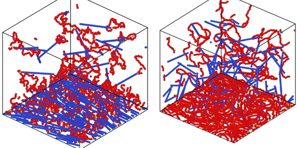 Tadpole polymers adsorbed on a surface on their tails (left) or heads (right). 