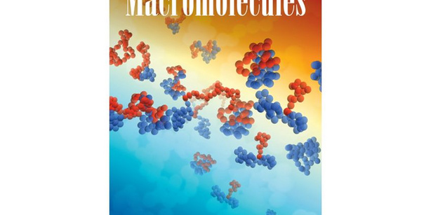 Cover Picture of Macromolecules magazine