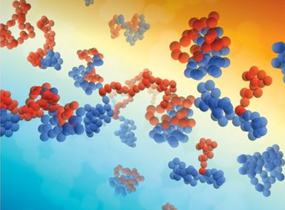 Cover Picture of Macromolecules magazine