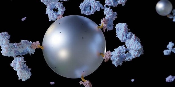 Artistic representation of an antibody-conjugated nanoparticle. 