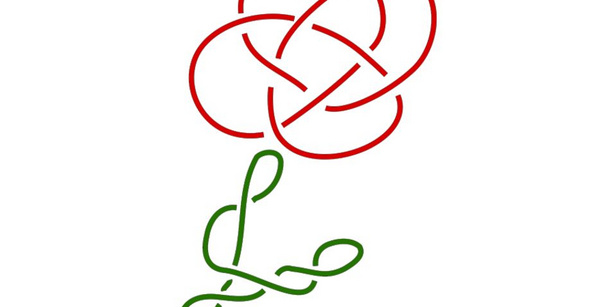 A topological rose