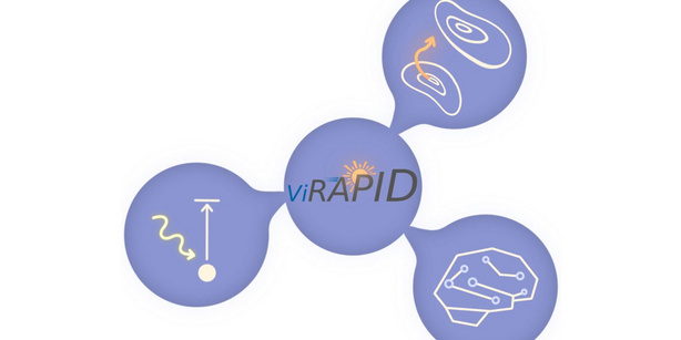 ViRAPID Logo