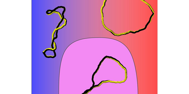 A sketch of the conformations of supercoiled ribbons in dependence of the electric charge: neutral and writhe-rich (upper left); fully charged and twist-rich (upper right); partially charged with separated writhe-rich and twist-rich domains (middle).