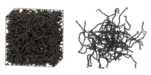 Illustration comparing a dense solution of entangled DNA molecules with the branched, supercoiled conformation of an individual DNA ring.