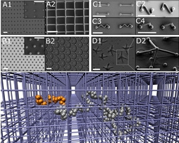 Top: range of structures fabricated by CAPA with 2PP-DLW, scale bar 10 micrometers, adapted from. Bottom: Simulation snapshot of polymer with active segment (orange) in a lattice of obstacles.