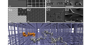 Top: range of structures fabricated by CAPA with 2PP-DLW, scale bar 10 micrometers, adapted from. Bottom: Simulation snapshot of polymer with active segment (orange) in a lattice of obstacles.