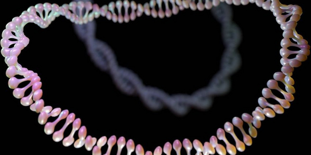 DNA molecules in bacteria, like plasmids, are the most famous example for a ring-shaped polymer in nature. 
