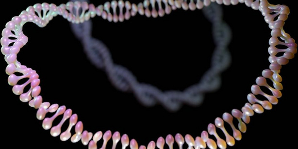 DNA molecules in bacteria, like plasmids, are the most famous example for a ring-shaped polymer in nature. 