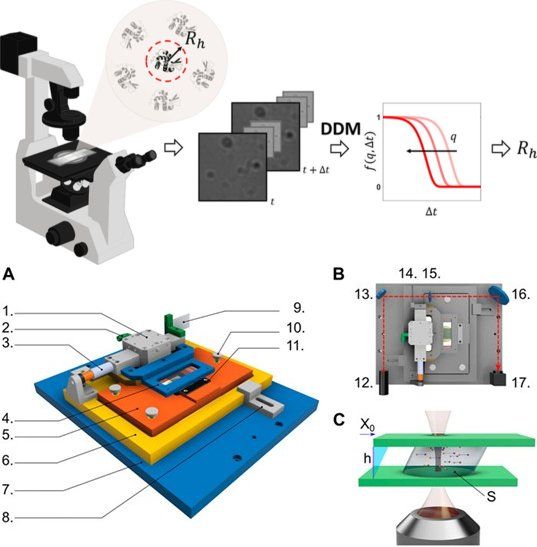Composite scientific illustration of experimental techniques used in soft-matter research. Panel A shows a microscope-based Differential Dynamic Microscopy workflow, from image acquisition through time-resolved image analysis to a correlation-versus-time graph. Panel B depicts a numbered custom rheomicroscopy platform with colored mechanical components. Panel C shows an optical measurement setup combining microscopy and light scattering.